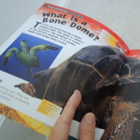 Scaly Creatures - Animal Touch Hardcover Book July 25, 2005 - NEW - Picture 4 of 6